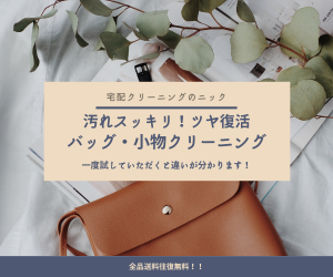 ニックバッグクリーニング